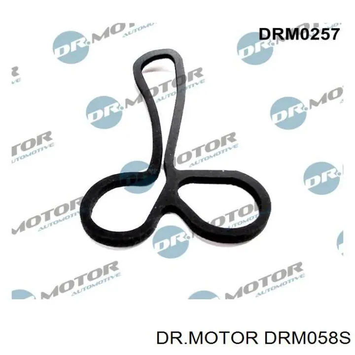 DRM058S Dr.motor прокладка адаптера масляного холодильника