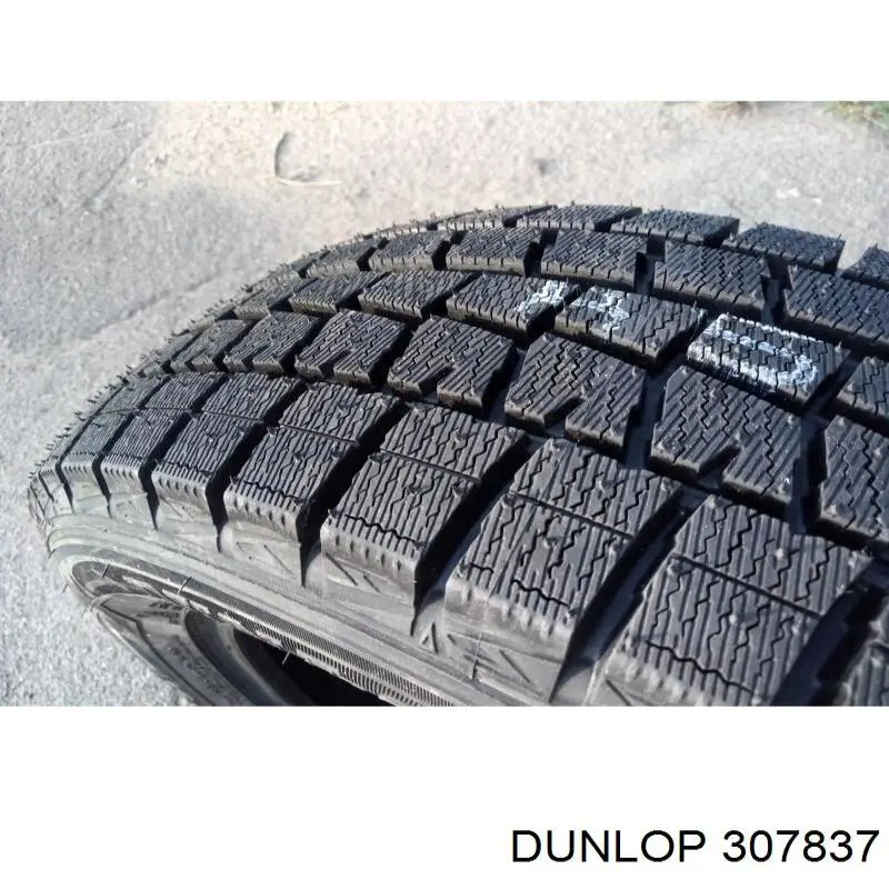 Шины зимние Dunlop Winter MAXX WM01 205/65 R15 94 T (307837)