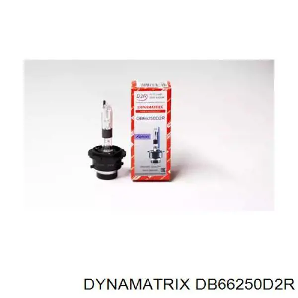 DB66250D2R Dynamatrix лампочка ксеноновая