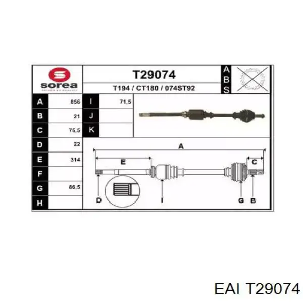  T29074 Polcar