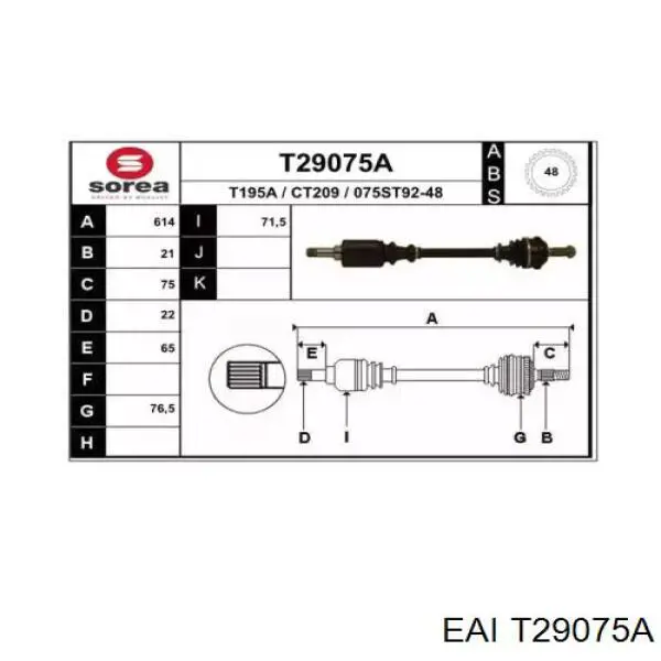  T29075A EAI