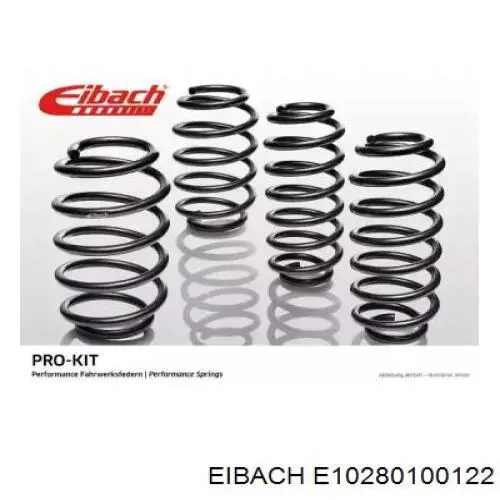  E10280100122 Eibach