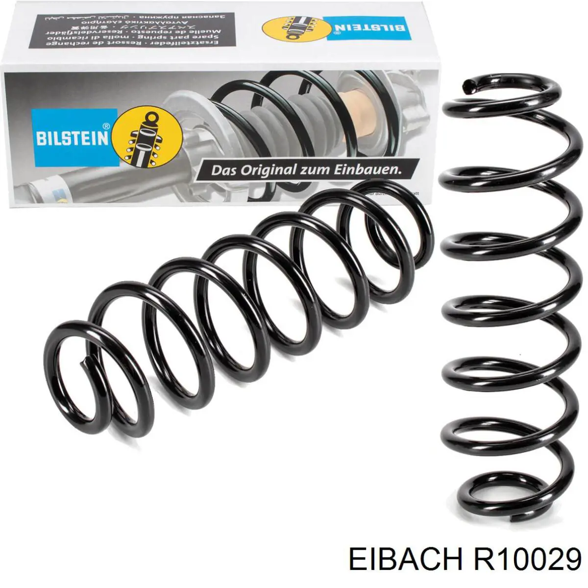 Задняя пружина R10029 Eibach
