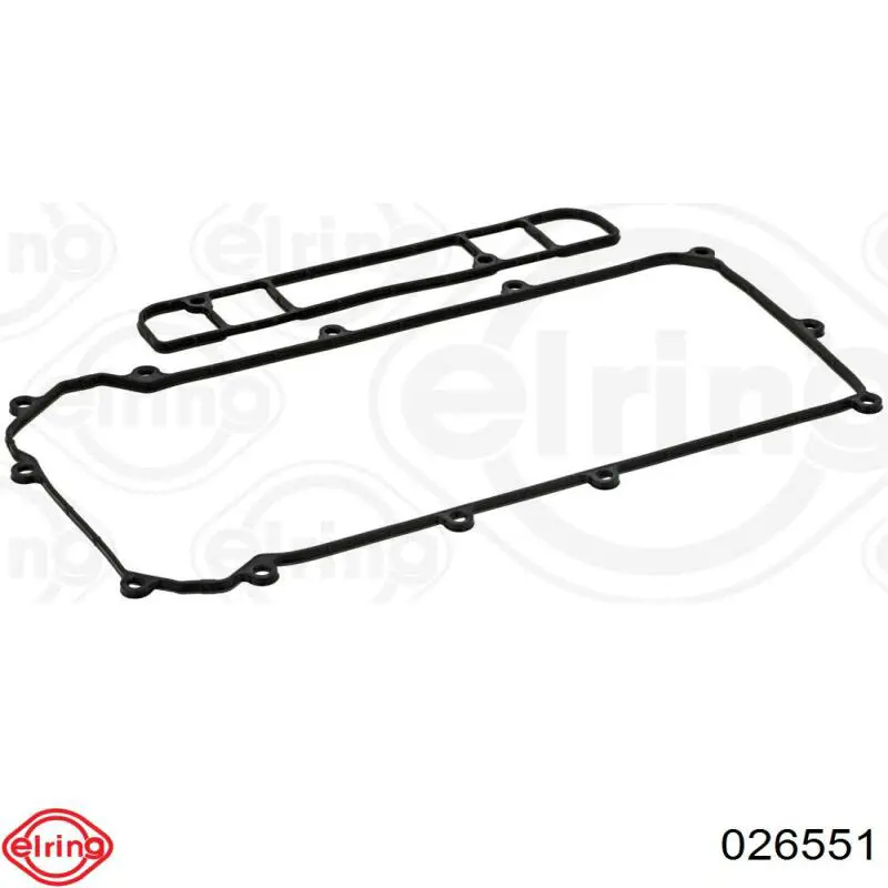 026551 Elring