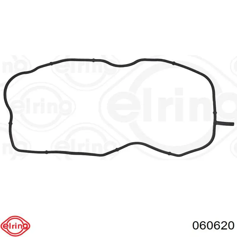 060620 Elring