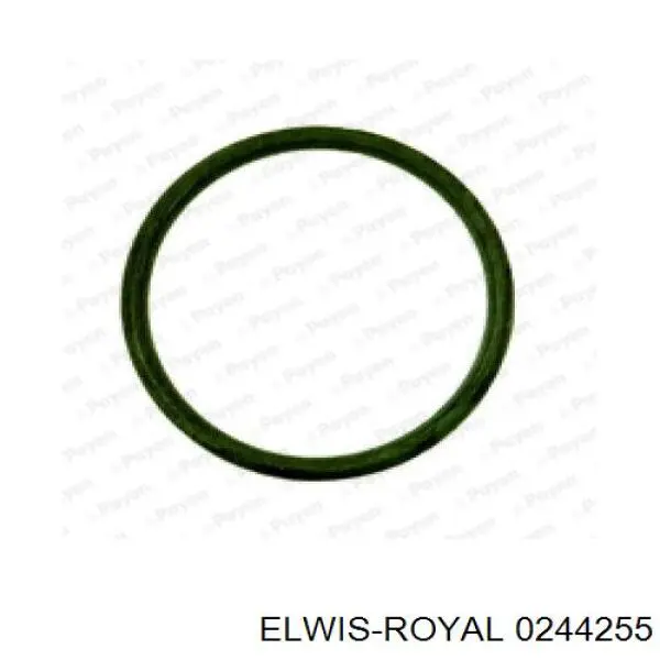 0244255 Elwis Royal