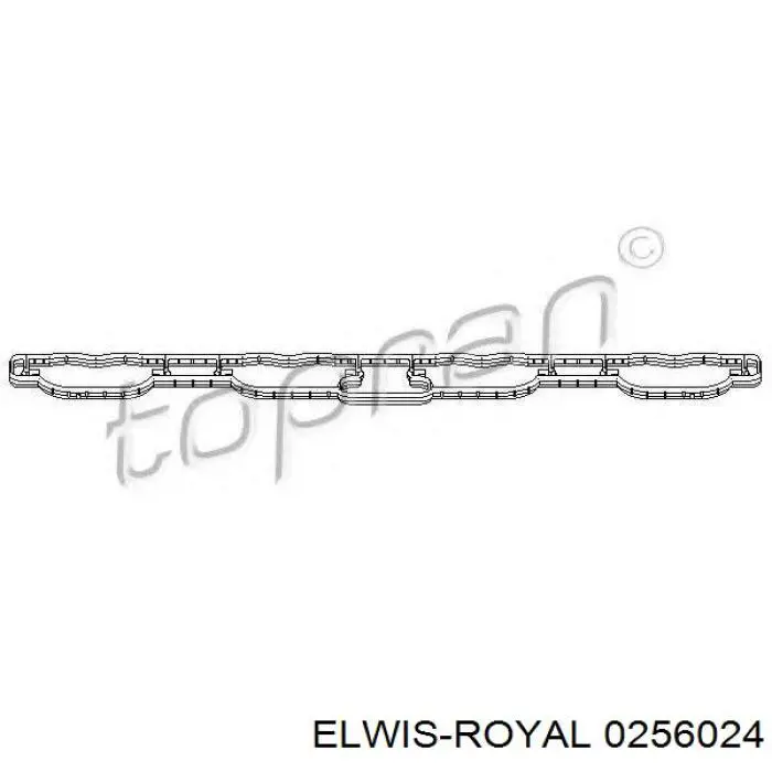 0256024 Elwis Royal