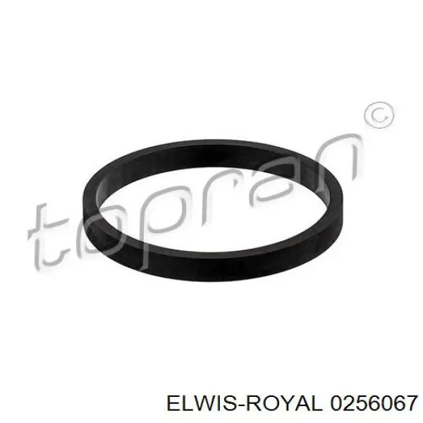 0256067 Elwis Royal