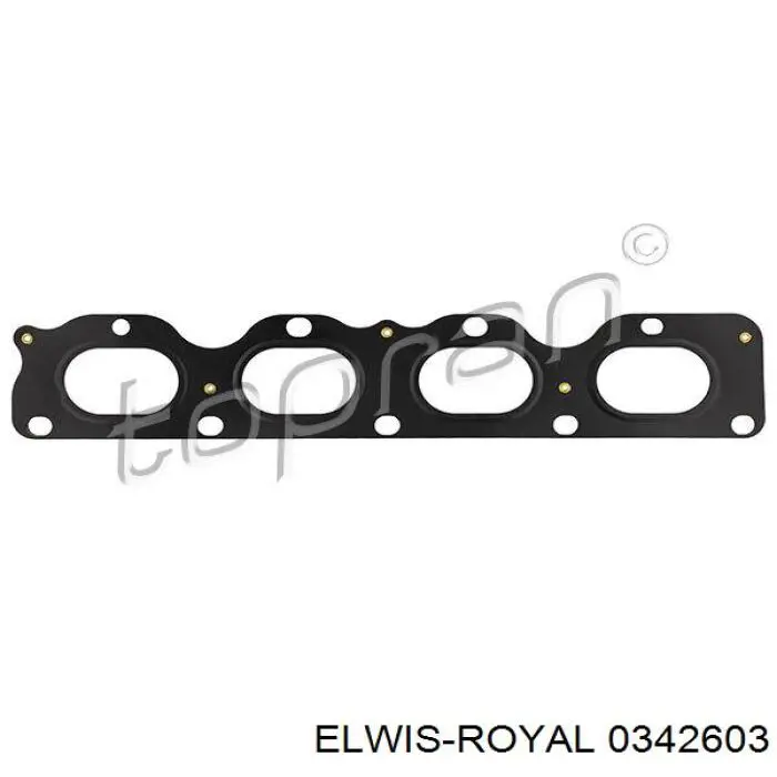 0342603 Elwis Royal