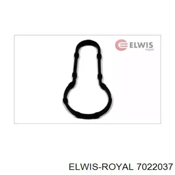  7022037 Elwis Royal