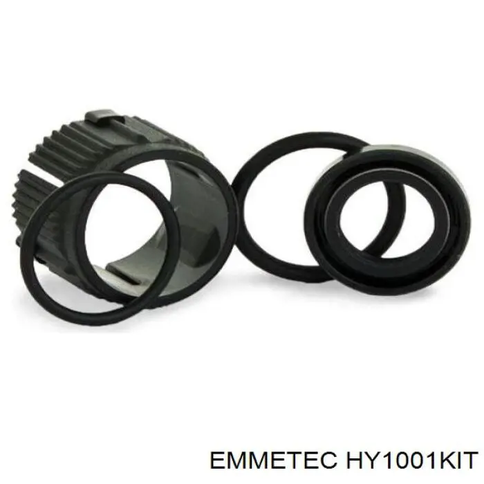  HY1001KIT Emmetec