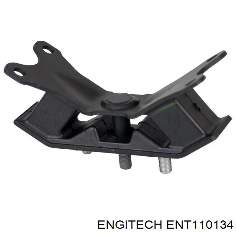  ENT110134 Engitech