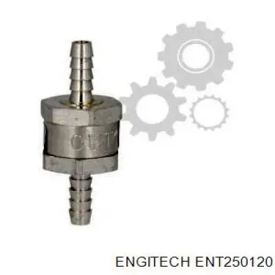 Зворотній клапан повернення палива ENT250120 Engitech