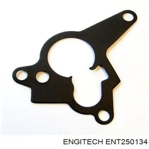 Кольцо форсунки ENT250134 Engitech