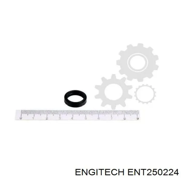 ENT250224 Engitech ремкомплект форсунки