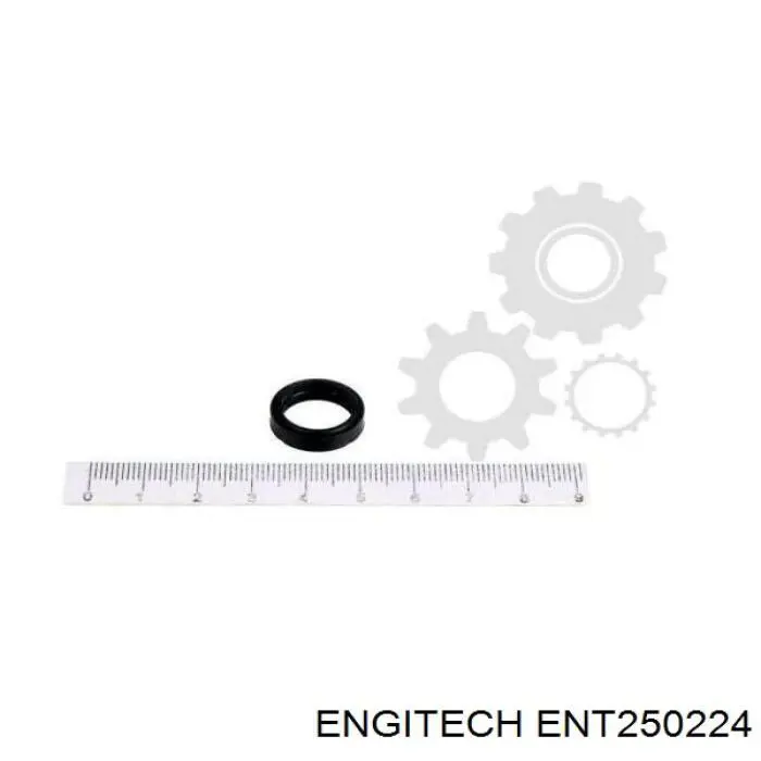 Ремкомплект форсунки ENT250224 Engitech