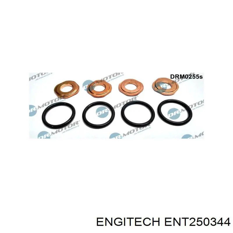 Кільце форсунки інжектора, посадочне ENT250344 Engitech