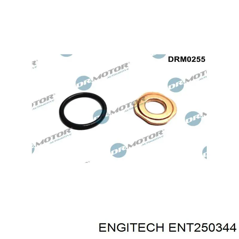 ENT250344 Engitech anel (arruela do injetor de ajuste)