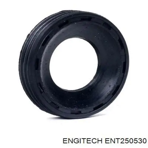 Кольцо форсунки ENT250530 Engitech