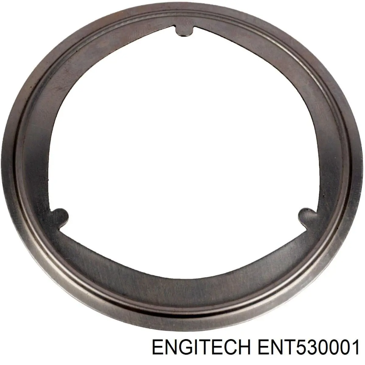 Купить ENT530001 Engitech Топливный перепускной клапан (болт банджо)