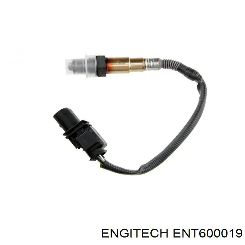 ENT600019 Engitech