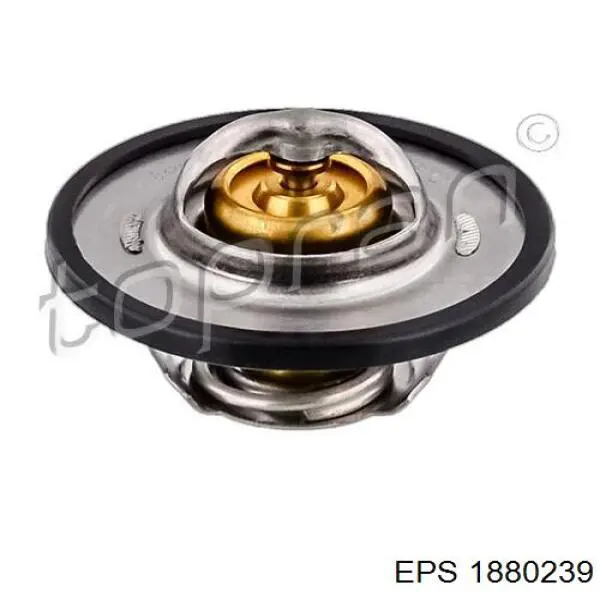 Compre 1880239 EPS Caixa do termostato