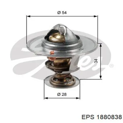 Termostato, refrigerante 1880838 EPS