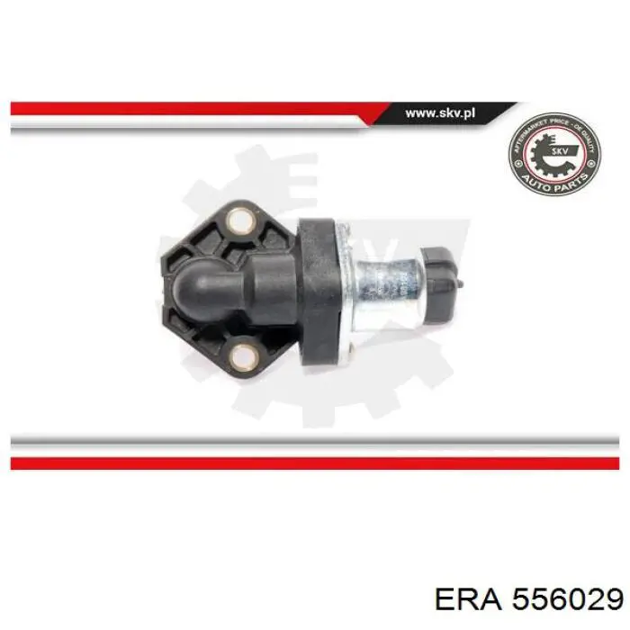 556029 ERA
