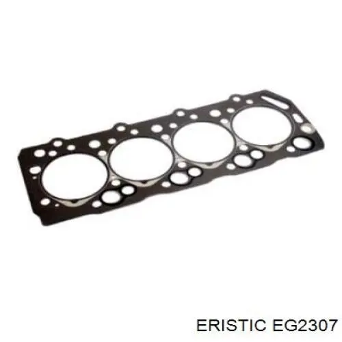  EG2307 Eristic