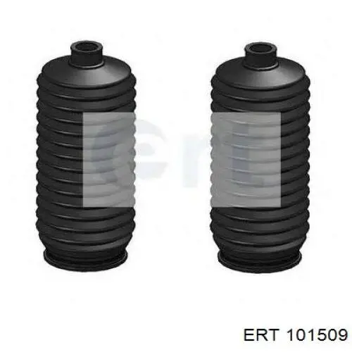 101509 ERT