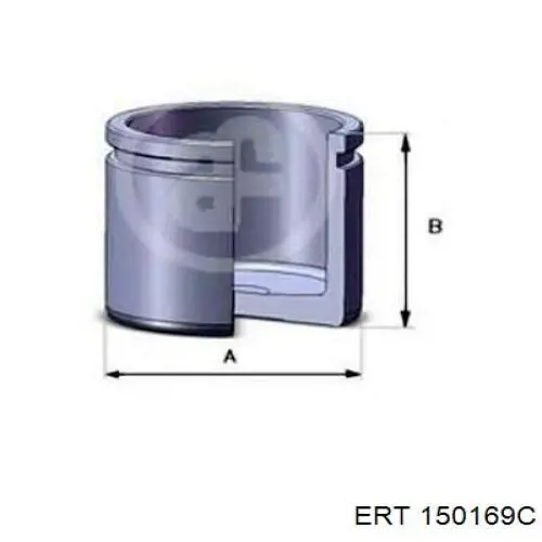 150169C ERT
