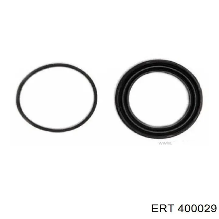 400029 ERT