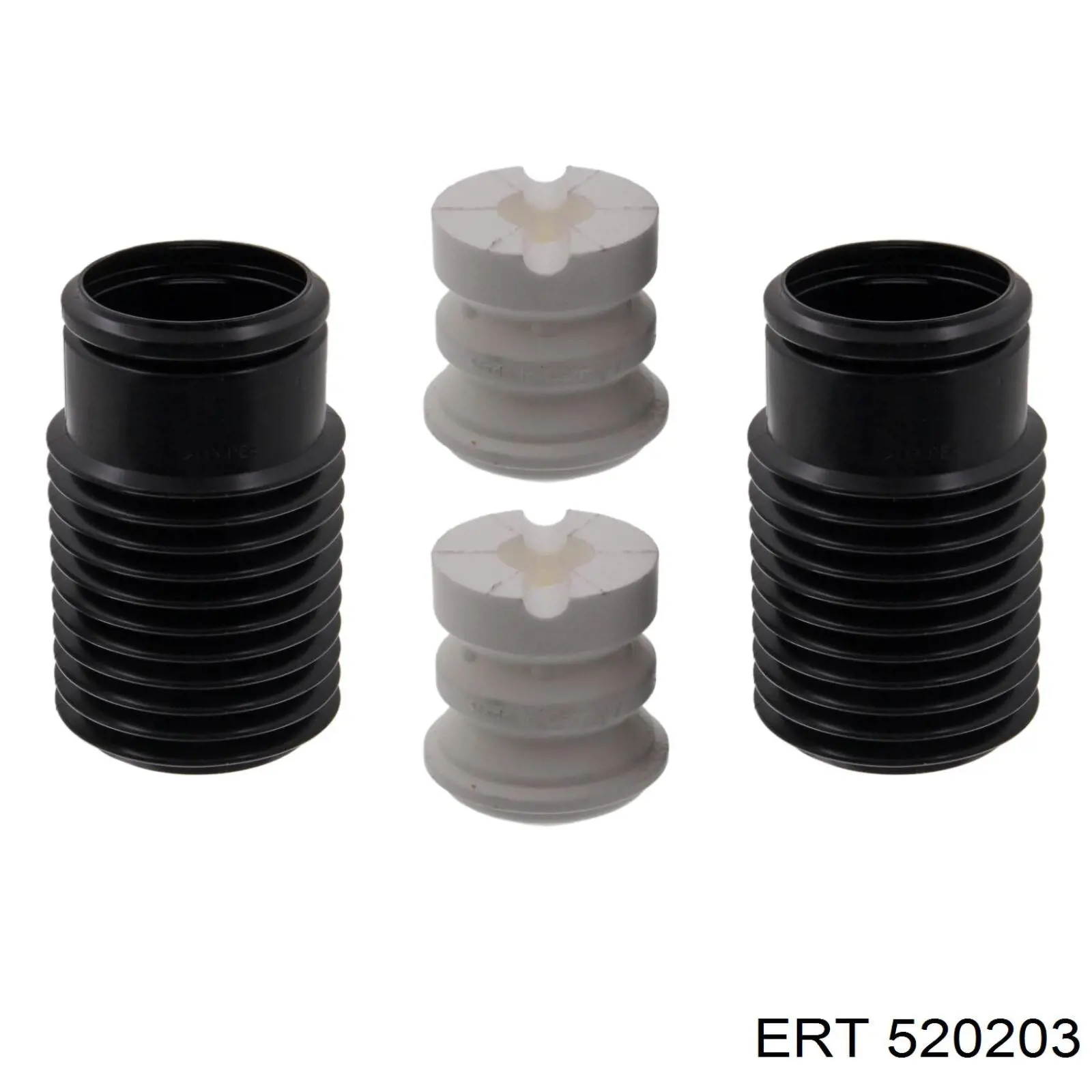 520203 ERT
