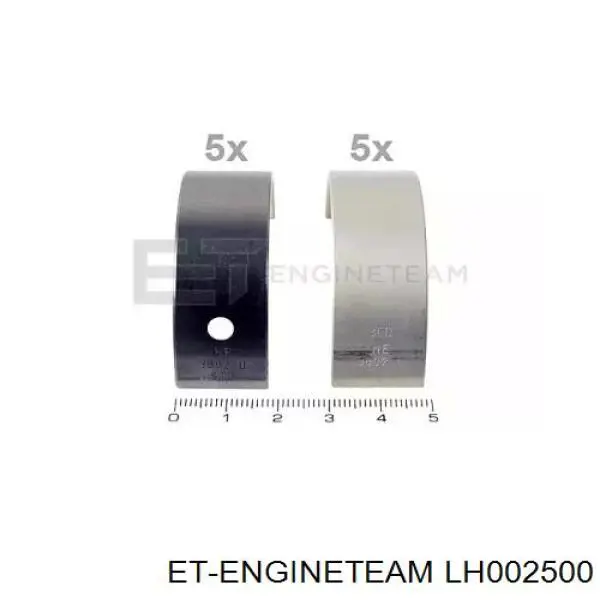 Купить 403803004 SM Вкладыши коленвала, коренные, комплект, стандарт (STD)