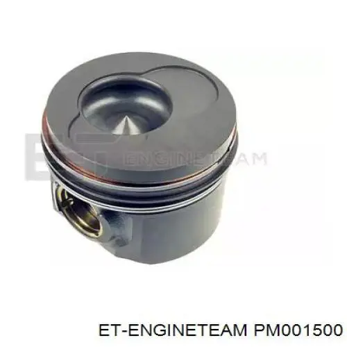 309800 Mahle Original Поршень в комплекте на 1 цилиндр, STD