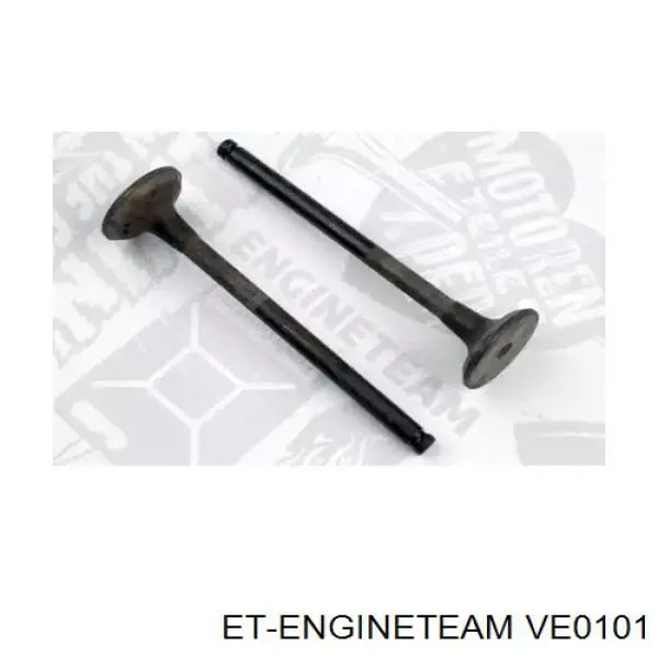VE0101 ET Engineteam клапан выпускной