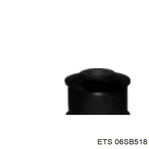 06.SB.518 ETS сайлентблок задней балки (подрамника)