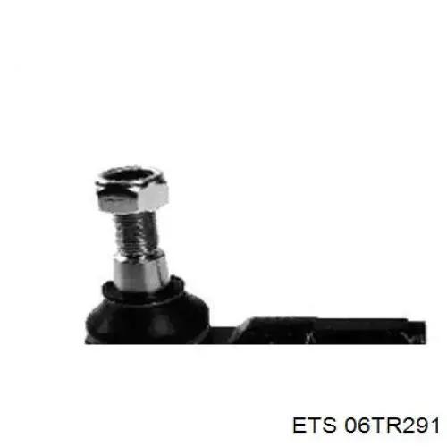 06TR291 ETS Наружный наконечник рулевой тяги