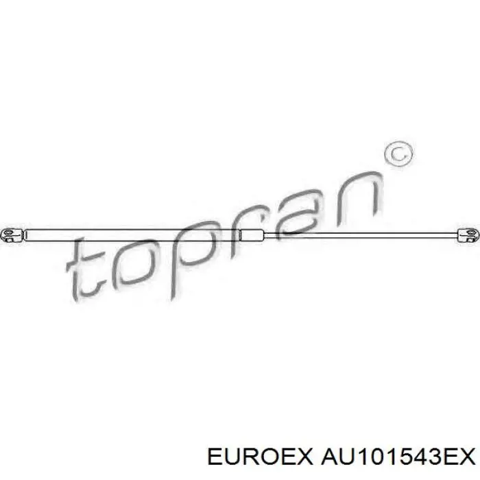 Амортизатор багажника AU101543EX Euroex