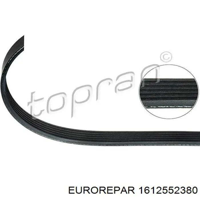 Купить 1612552380 Eurorepar Ремень генератора