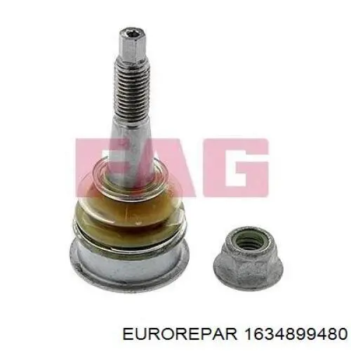 Нижняя правая шаровая опора 1634899480 Eurorepar