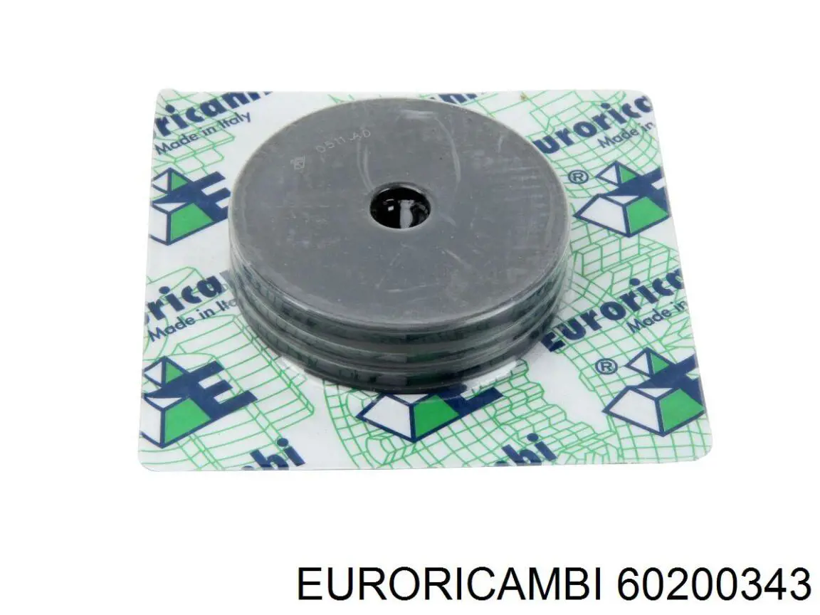 60200343 Euroricambi 