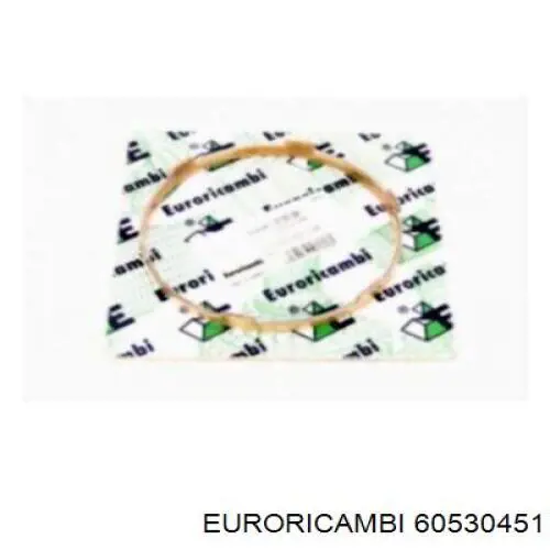  Euroricambi 60530451 цена, от 172.95 USD