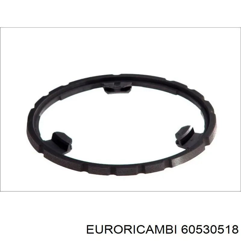 60530518 Euroricambi кольцо синхронизатора