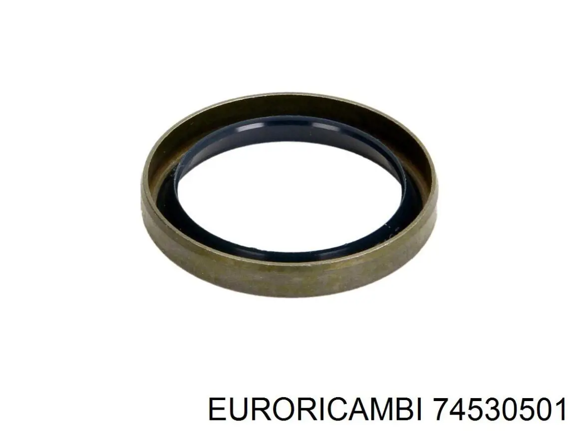 74530501 Euroricambi Уплотнительное кольцо, универсальное