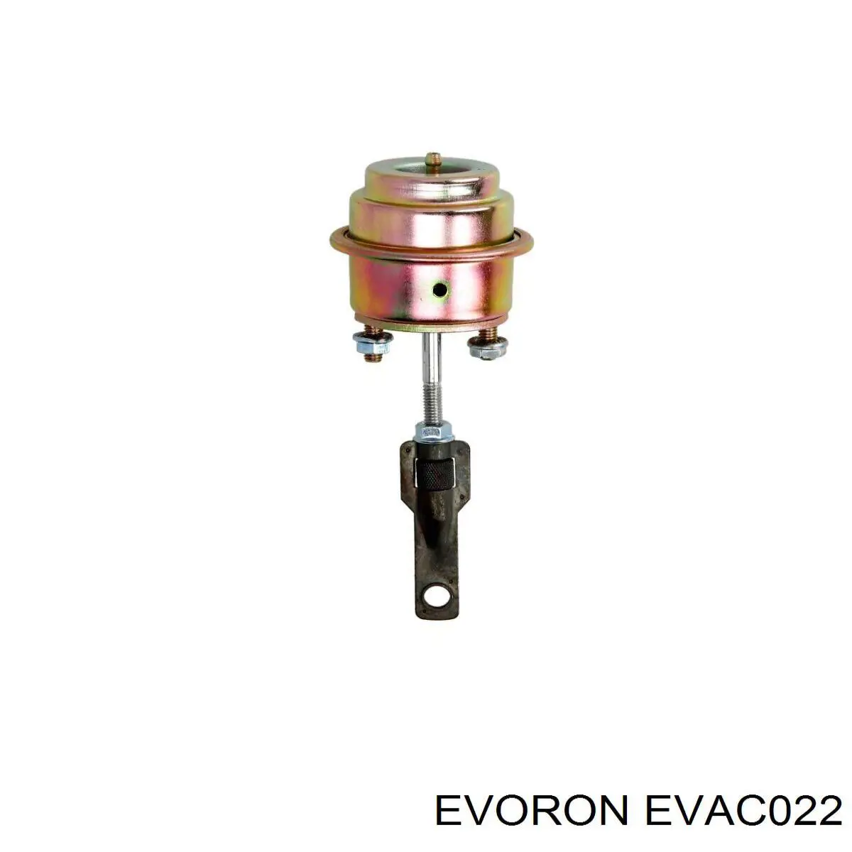  EVAC022 Evoron