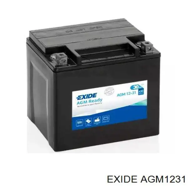 Купить AGM1231 Exide Батарея аккумуляторная
