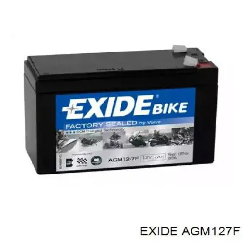Аккумулятор Exide AGM127F