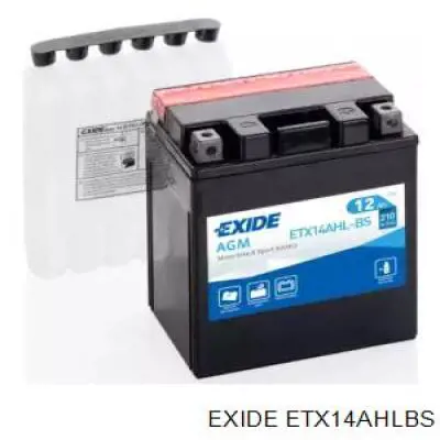 ETX14AHL-BS Exide bateria recarregável (pilha)