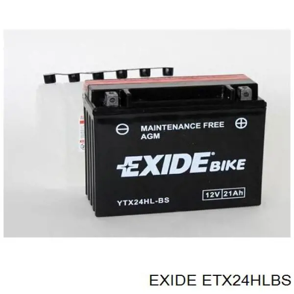 Купить ETX24HLBS Exide Батарея аккумуляторная